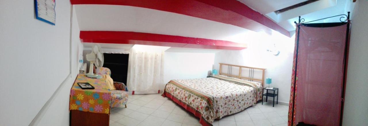Mansarda Pieno Centro Daire Livorno Dış mekan fotoğraf
