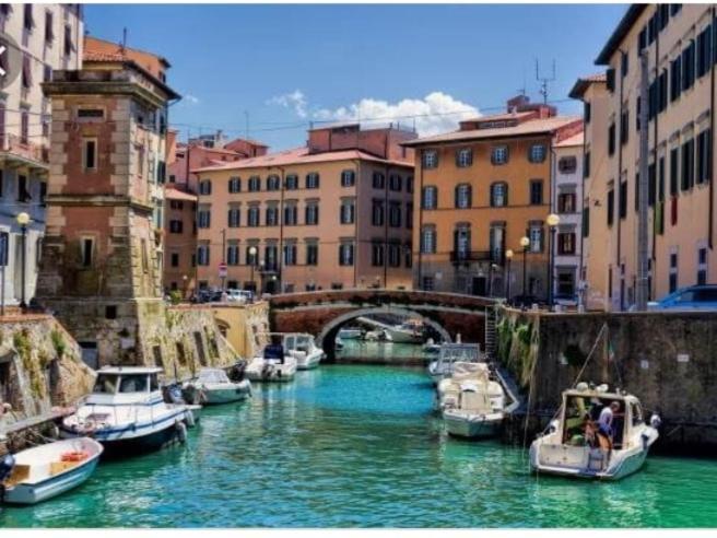Mansarda Pieno Centro Daire Livorno Dış mekan fotoğraf